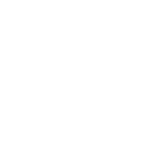 Native Gaming .io 500x500_white